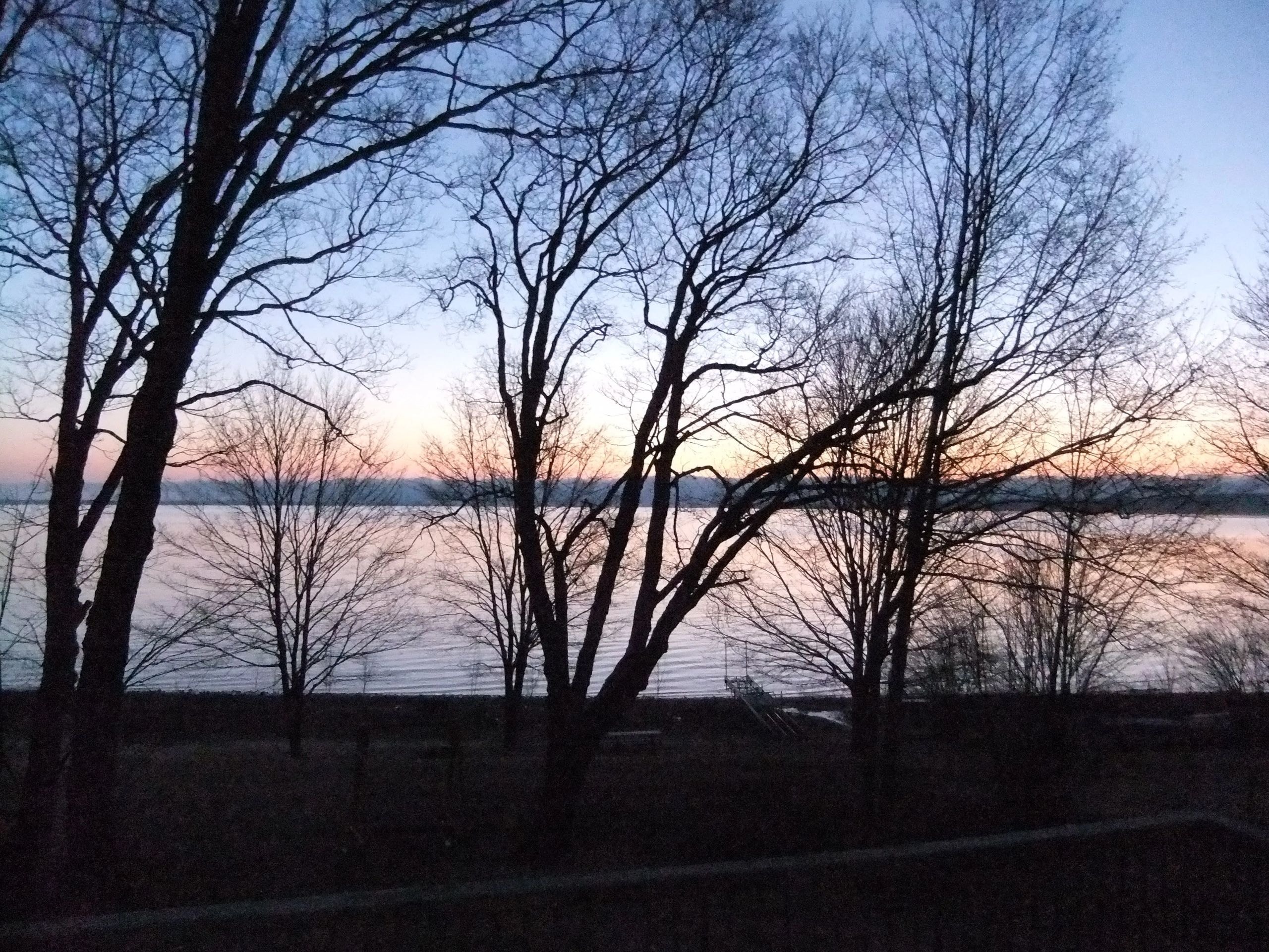 Wetland marsh at sunrise, Ontario